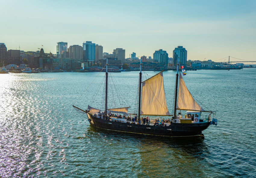 Harbour Cruise