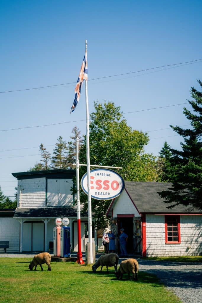 Memory Lane Heritage Village (2)