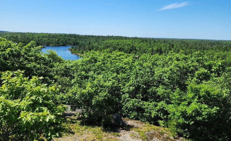 Conversations for Ecology Action