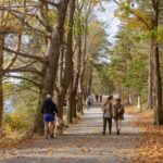 Halifax’s Urban Parks: Built-In Breaks That Elevate Your Event